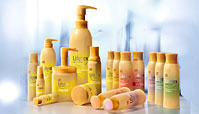 Wella Lifetex Range